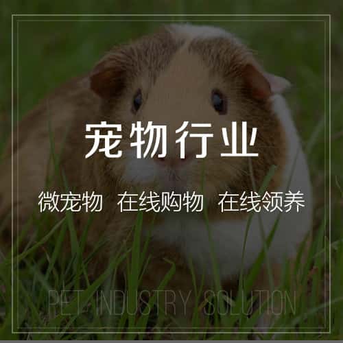 基隆宠物